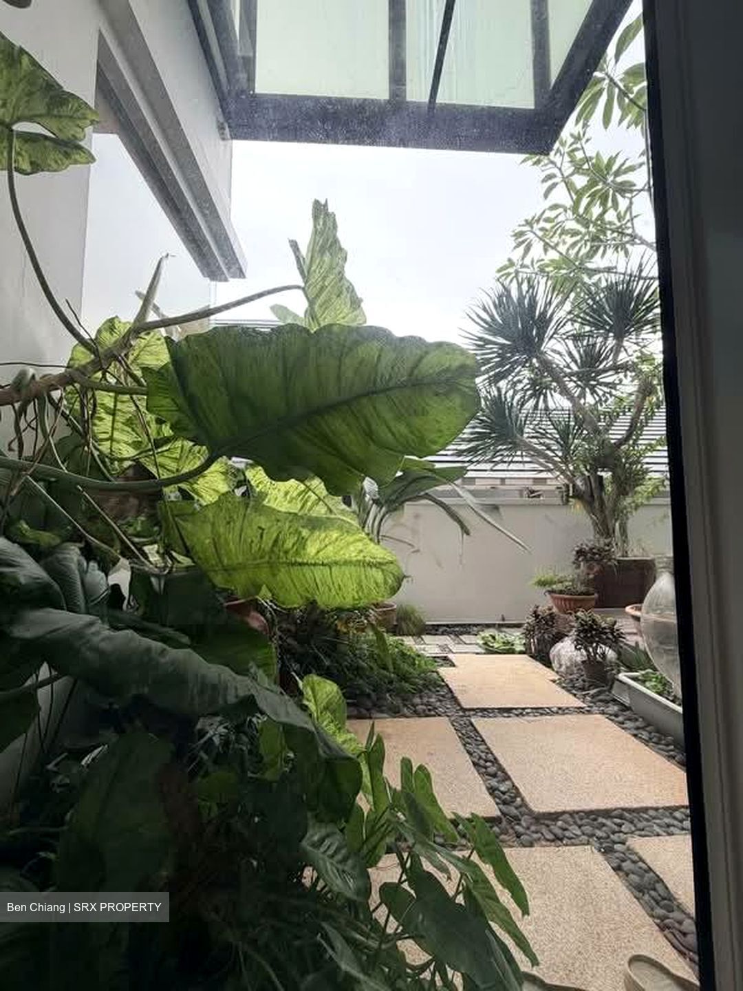 Serangoon Garden Estate (D19), Semi-Detached #562158221